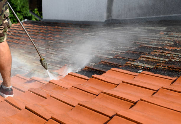 Best Pressure Washing Siding  in Miami, FL