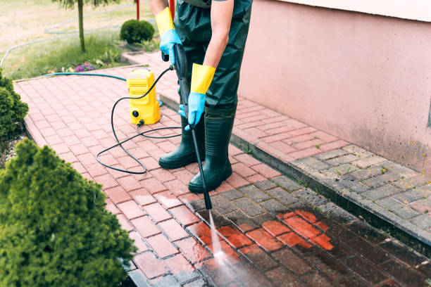 Local Pressure Washing Services in Miami, FL